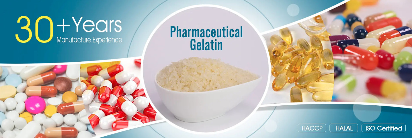 qualidade Gelatina fábrica