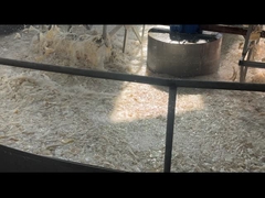 Gelatina em pó de qualidade farmacêutica de origem bovina com resistência a gel de floração de 160-280