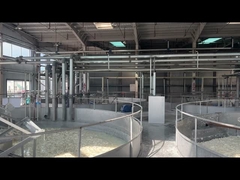 Gelatina em pó de qualidade farmacêutica para produção de cápsulas moles